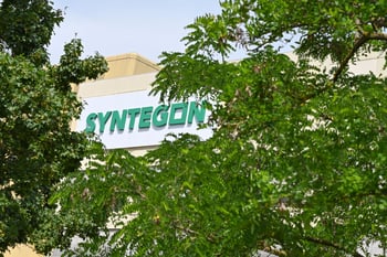 Sustainable growth: Syntegon achieves SBTi validation